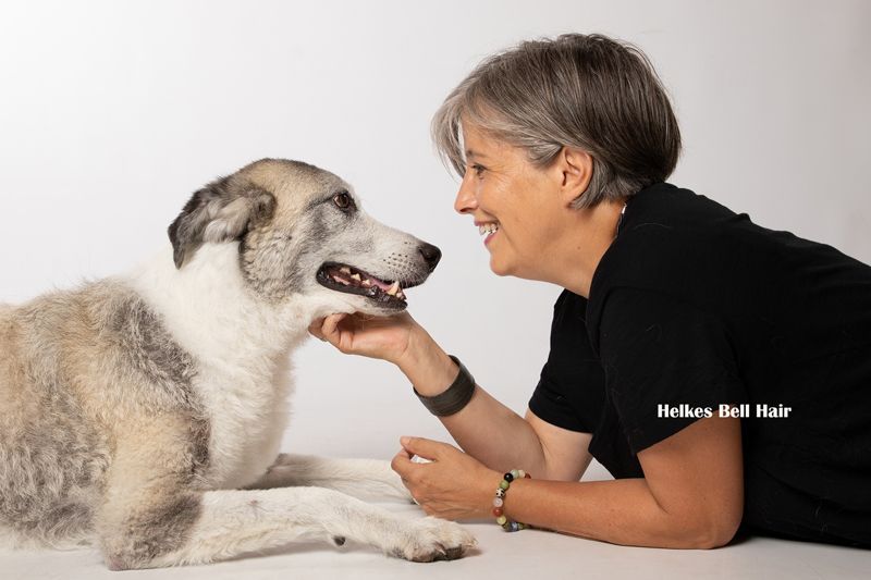 Hundesalon Helke Bell Hair - Foto Studio Maria Schäfer