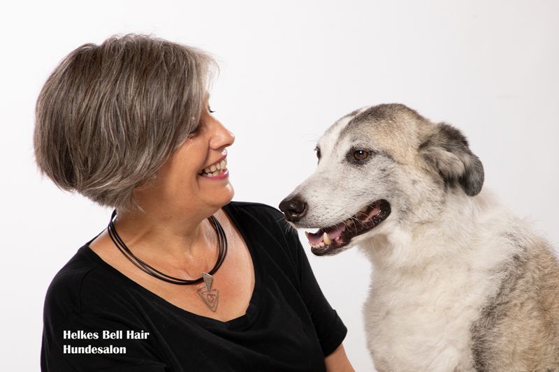 Hundesalon Helke Bell Hair - Foto Studio Maria Schäfer