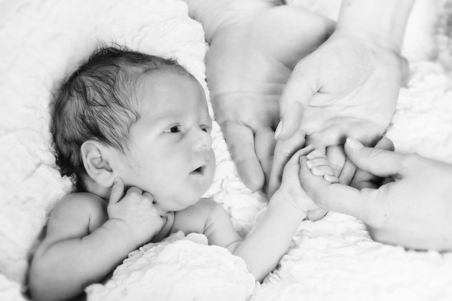 Newborn - Foto Studio Maria Schäfer