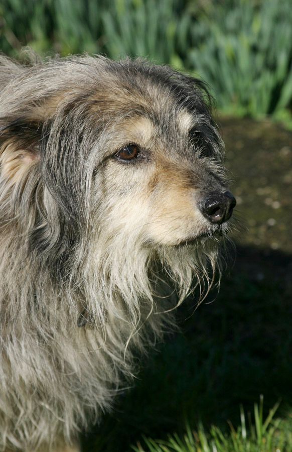 Tiere - Foto Studio Maria Schäfer