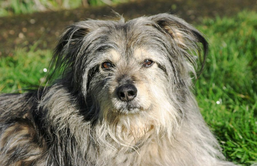 Tiere - Foto Studio Maria Schäfer