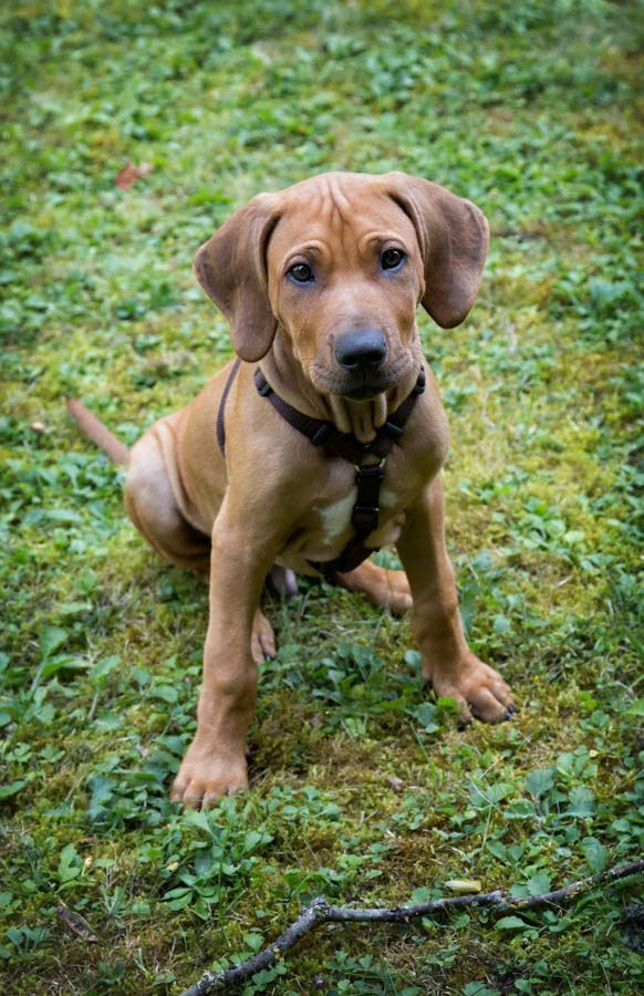 Tiere - Foto Studio Maria Schäfer