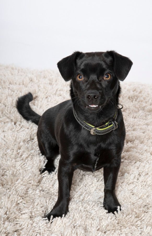 Tiere - Foto Studio Maria Schäfer