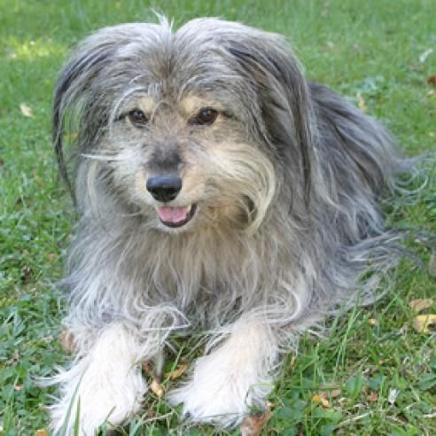 Tiere - Foto Studio Maria Schäfer