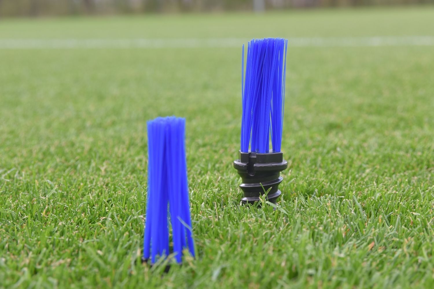 Samba Grass Tuft Markers