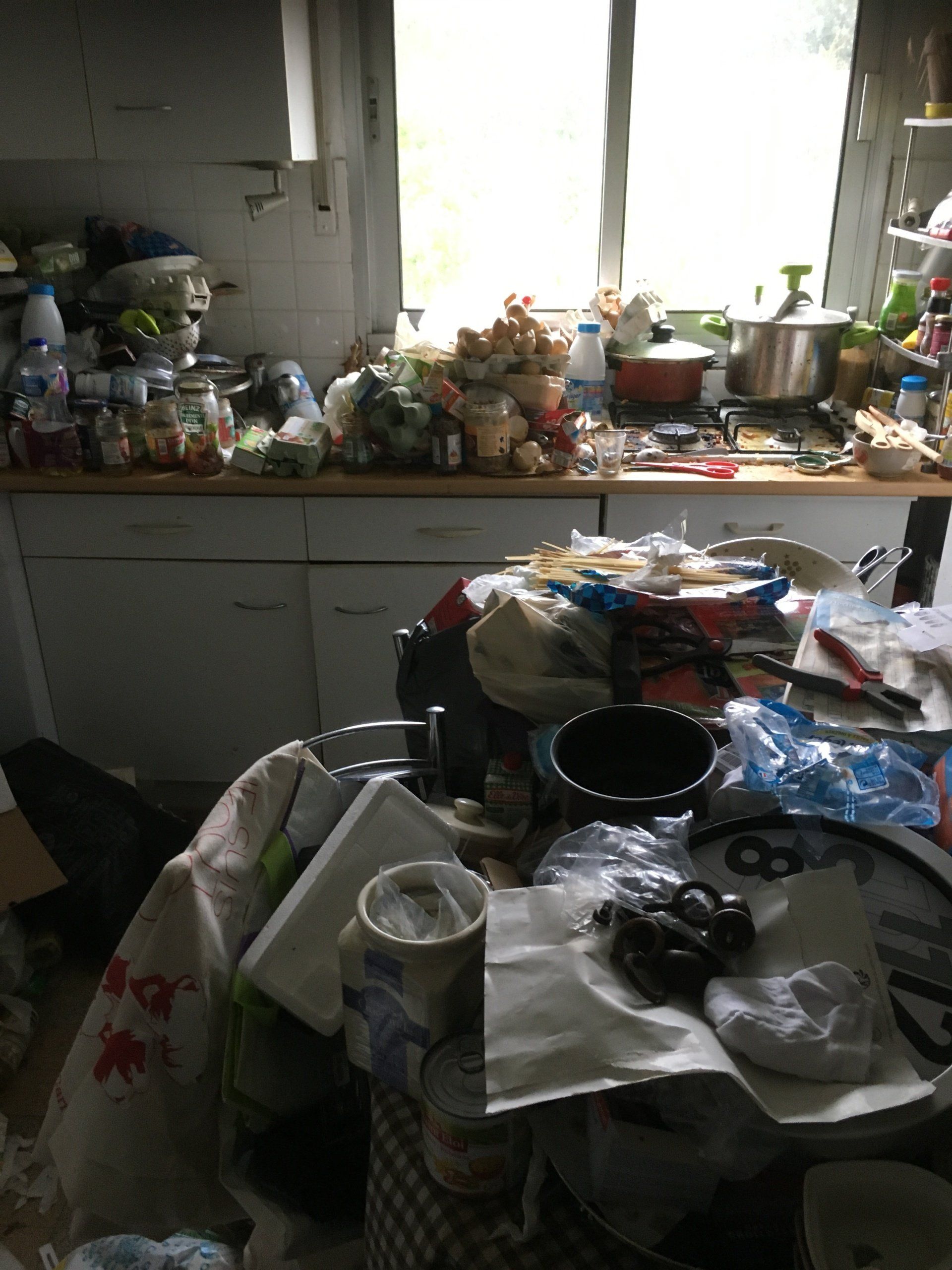 Cuisine Syndrome de dyogène