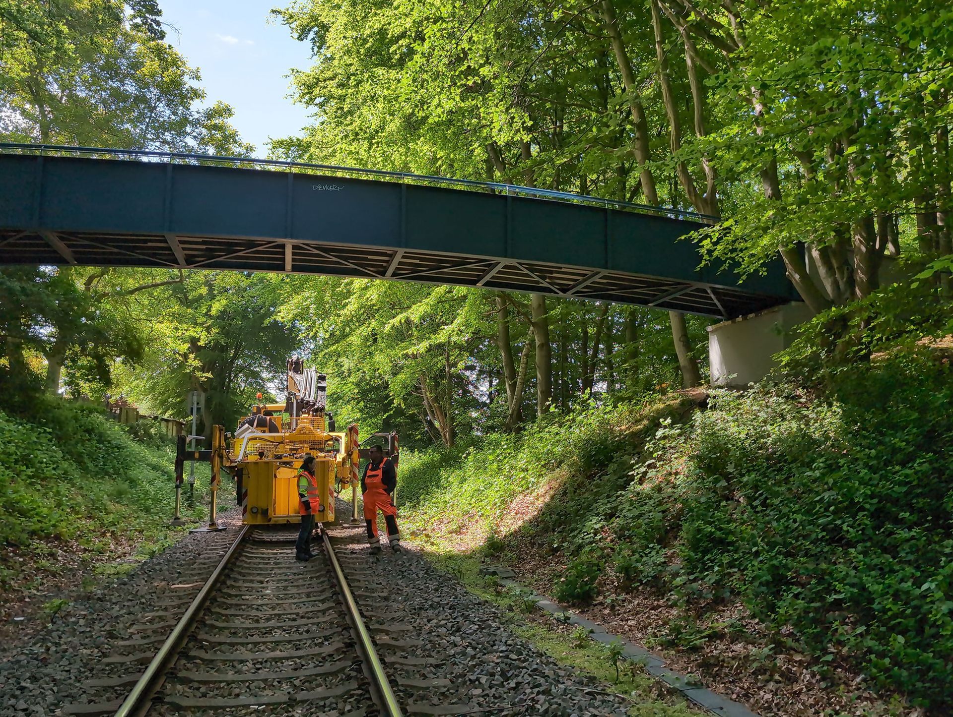 Arbeiter auf einem gelben Gleiswartungsfahrzeug unter einer grünen Brücke in einem bewaldeten Bahneinschnitt