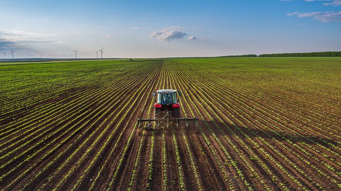 Un tracteur dans un champ cultivé