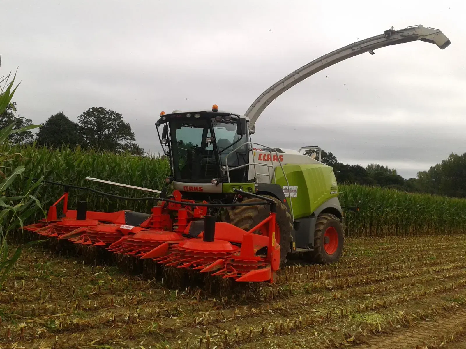 Une moissonneuse-batteuse dans un champ de maïs