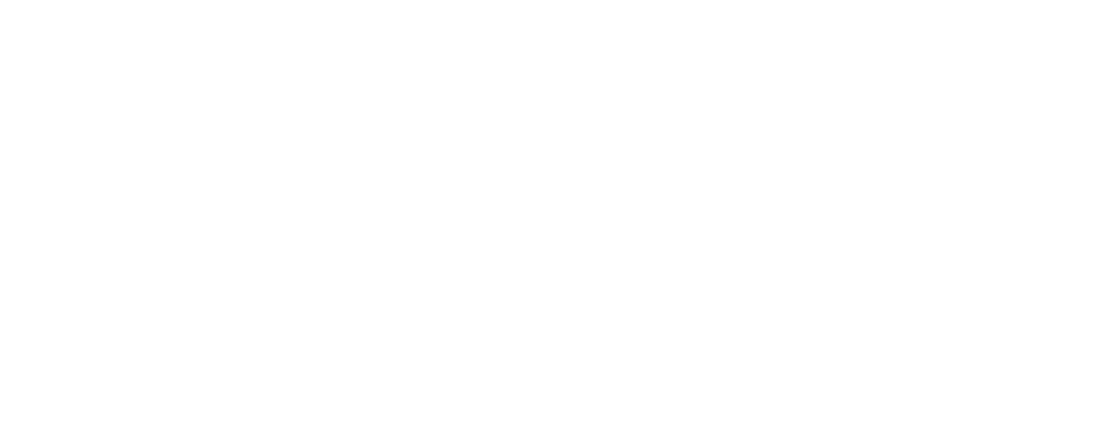 Logo Hauptsache Haubner
