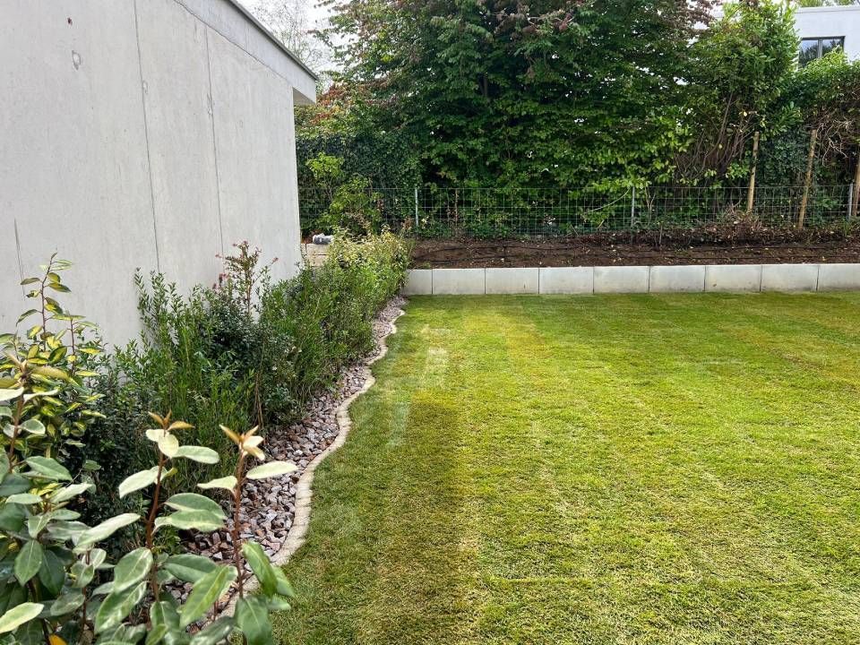 Grasbewachsener Hinterhof mit hoher Hecke, Steineinfassung und einer weissen Mauer auf der linken Seite.