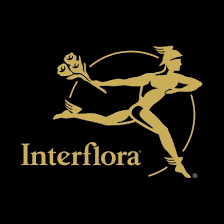Logo Interflora
