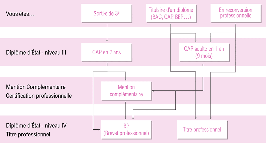 Organigramme détaillant les parcours d'études et de formation professionnelle en France.