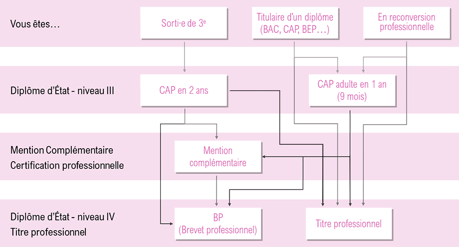 Organigramme détaillant les parcours d'études et de formation professionnelle en France.