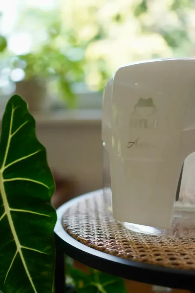 A white container is sitting on a wicker table next to a plant.