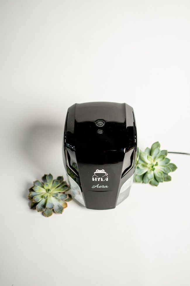 A black device is sitting next to a plant on a white surface.