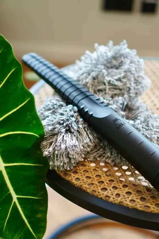 A vacuum cleaner is sitting on a chair next to a plant
