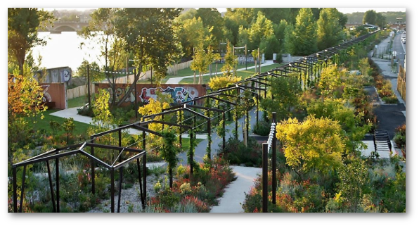 Création de votre jardin