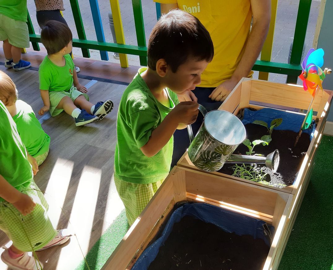 little jungle caracoles