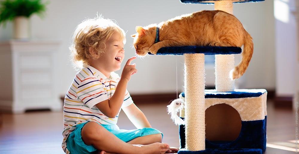 Familienrecht Anwalt Dresden Erfurt