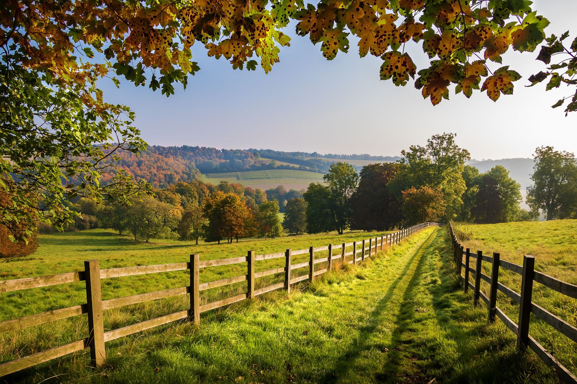 Chemin de campagne ensoleillé longeant des clôtures en bois, champs verdoyants et arbres d'automne sous un ciel dégagé