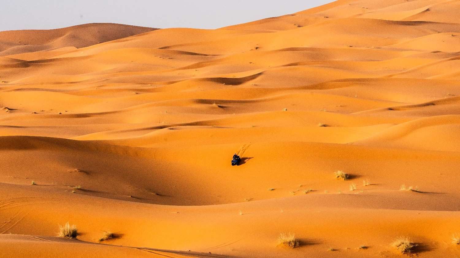 Dunas doradas del desierto con una figura oscura recortada en la distancia.