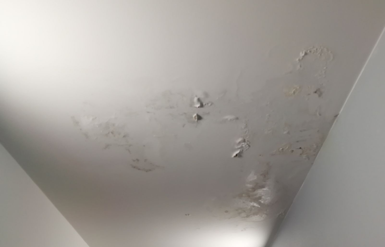 Cloques dues à une fuite d'eau au plafond