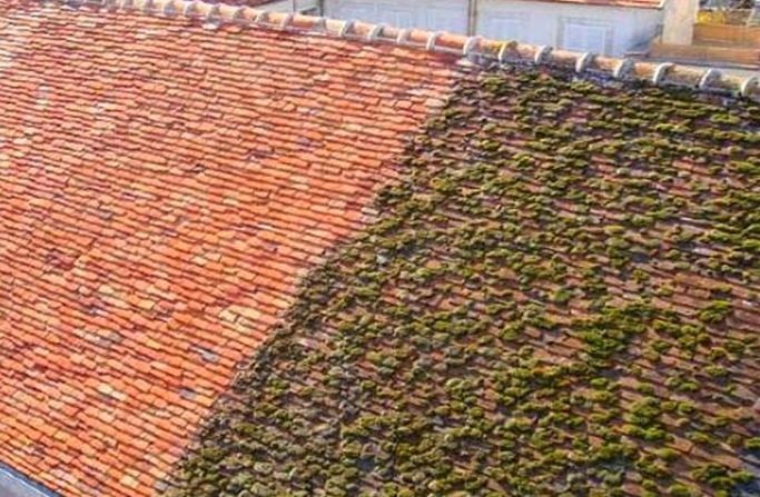 Démoussage de toiture