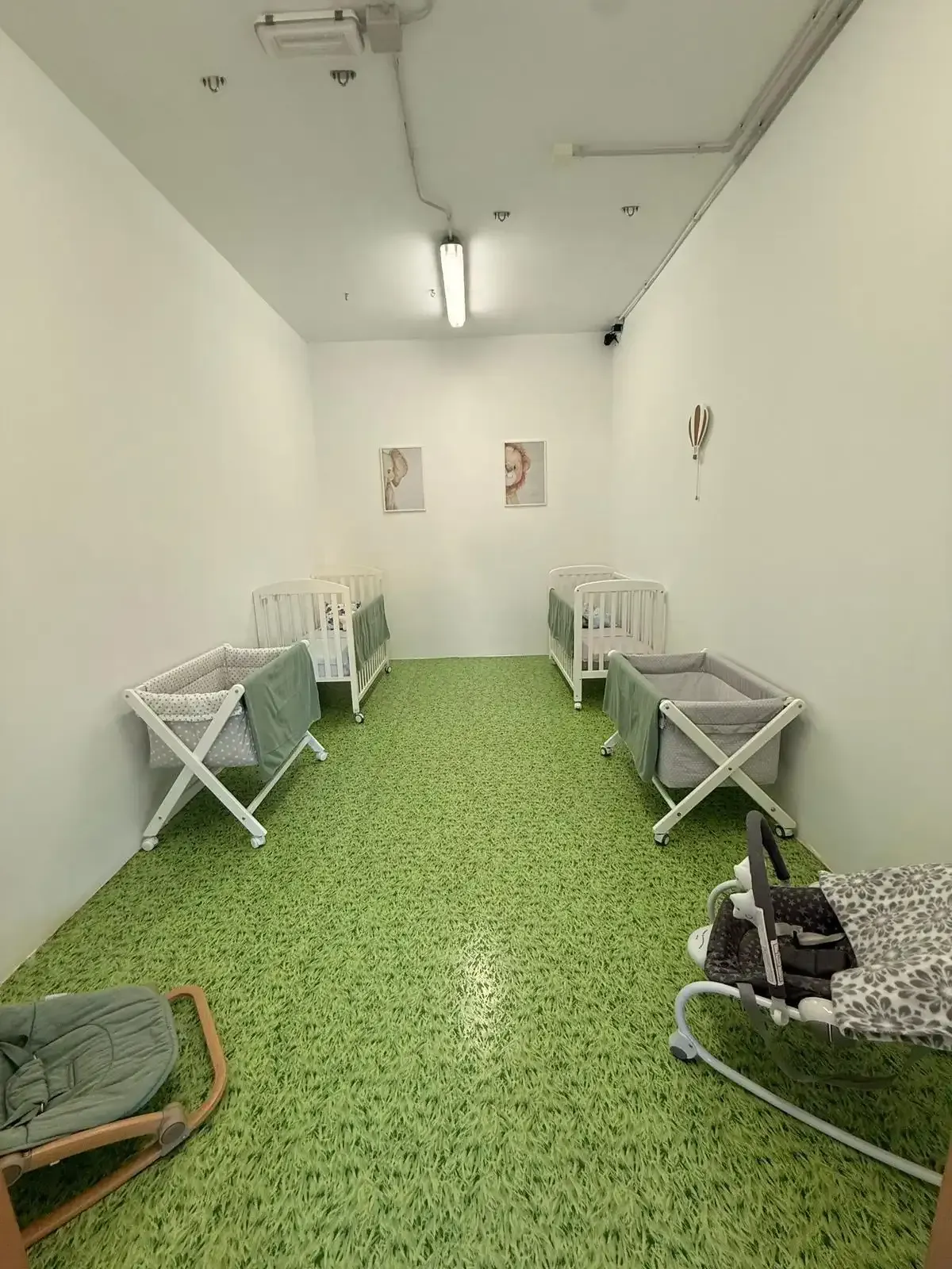 Habitación pequeña de color blanco con suelo verde, varias sillas plegables y camas para mascotas a lo largo de las paredes.