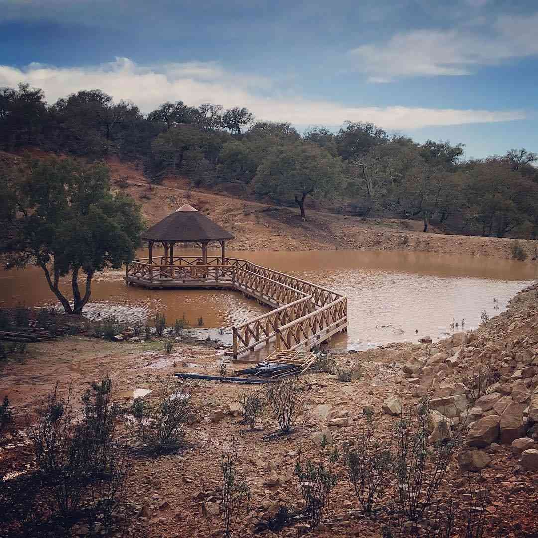 Puente de madera y mirador sobre un estanque rodeado de árboles y paisaje seco bajo un cielo nublado.