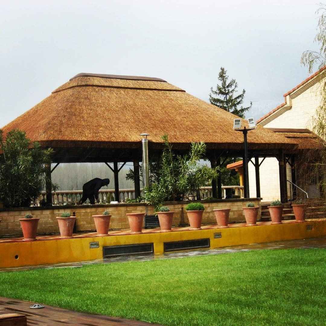 Cenador con techo de paja, macetas de terracota a lo largo de una pared amarilla y un césped.