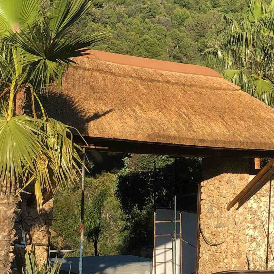 Entrada con techo de paja, paredes de piedra, palmeras y fondo de bosque.
