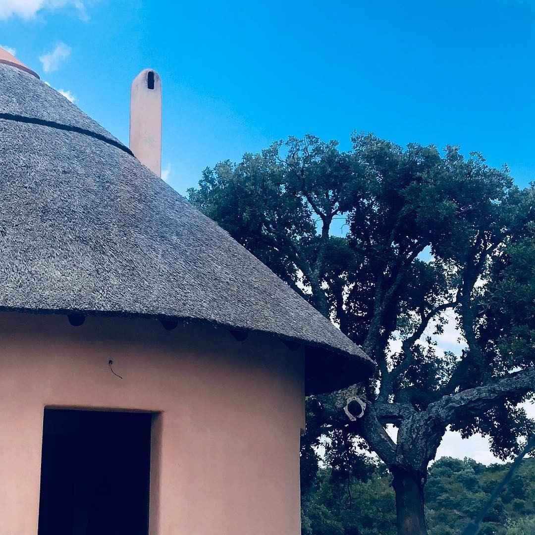 Edificio de color tostado con techo de paja y chimenea junto a un gran árbol bajo un cielo azul.