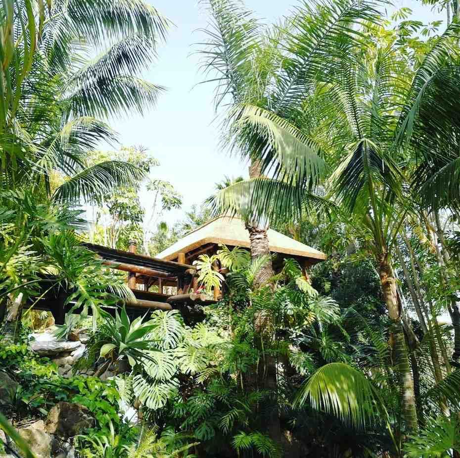 Casa en el árbol con techo de paja, rodeada de exuberante follaje tropical.