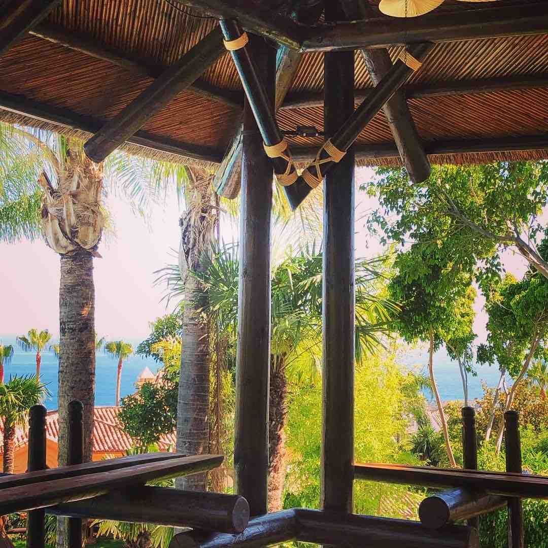 Vista desde un mirador de madera con vistas a palmeras, océano y exuberante vegetación.