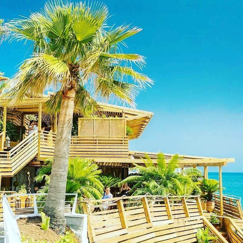 Restaurante tropical de madera con palmeras, vista al mar, cielo azul brillante.