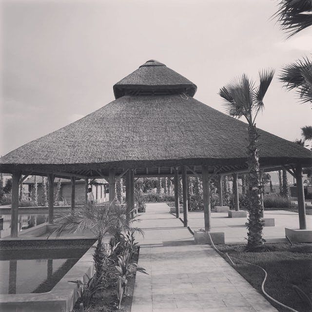 Fotografía en blanco y negro de un mirador con techo de paja en un parque, con sendero y palmeras.
