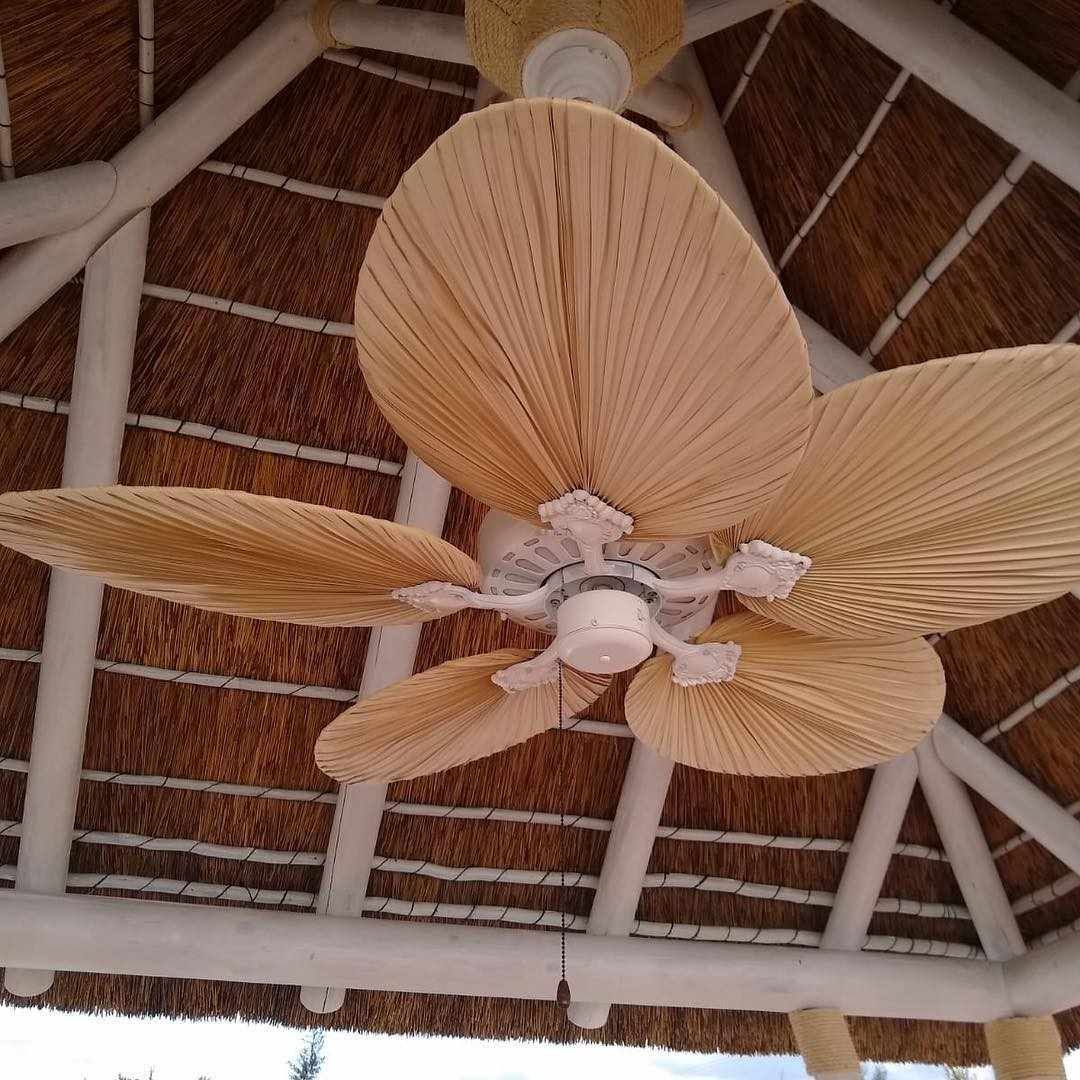 Ventilador de techo con aspas de color claro, estilo hojas de palma, sobre un techo de paja.