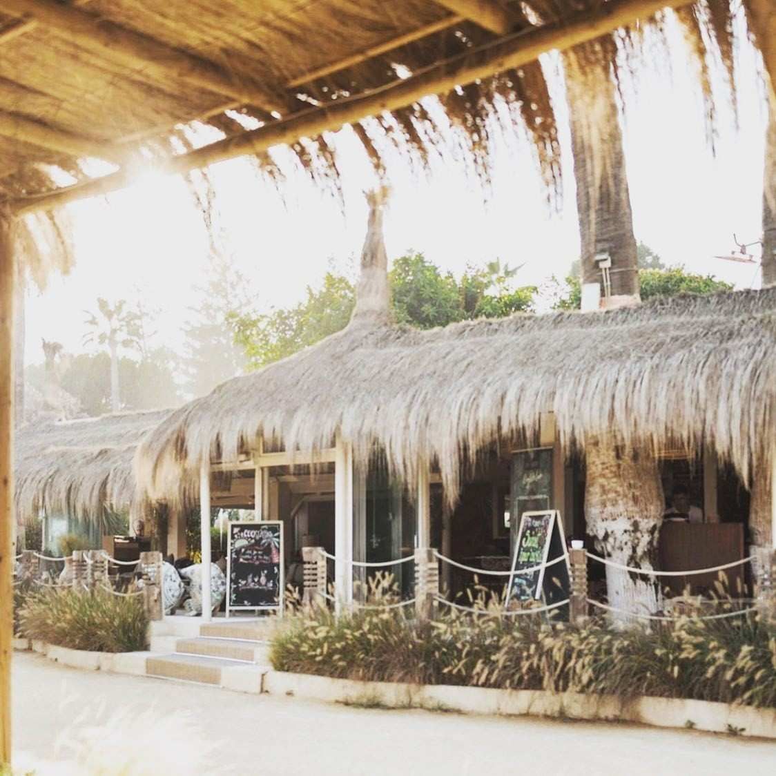 Cafetería junto a la playa con techo de paja, mesas al aire libre y letreros. Luz solar brillante.