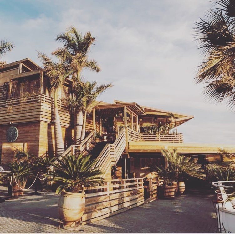 Restaurante de madera frente al mar con palmeras y escalera.