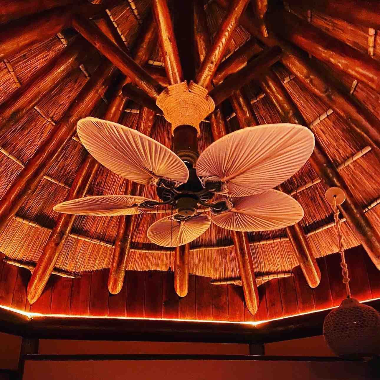 Ventilador de techo con grandes aspas en forma de hoja bajo un techo de paja. Tonos naranjas cálidos.