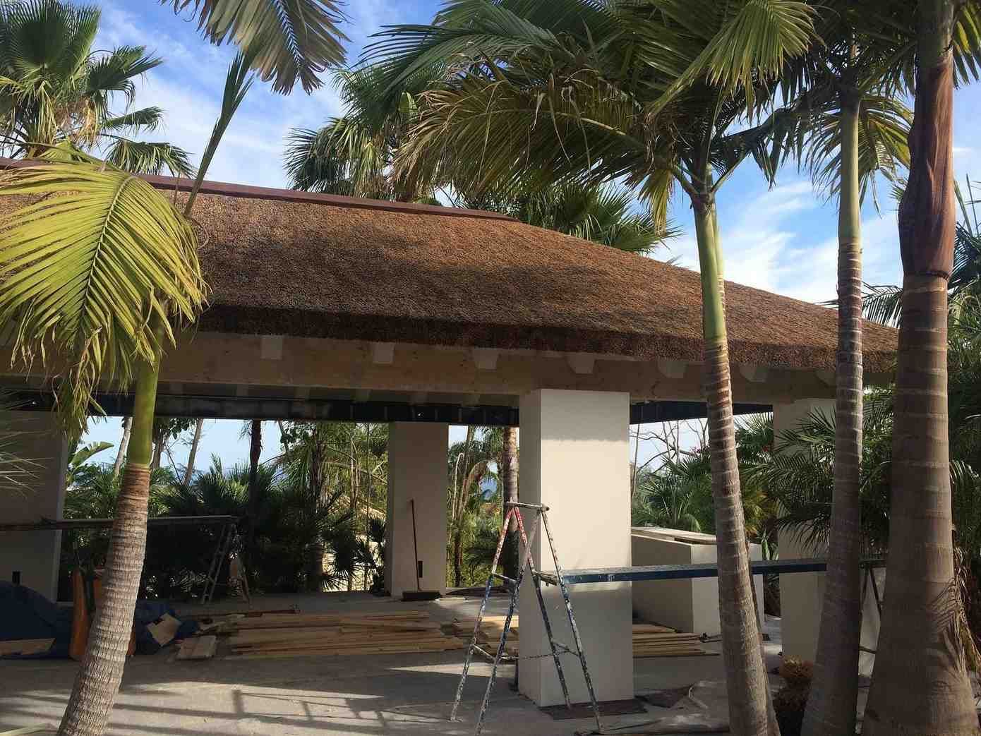 Una estructura con techo de paja en construcción, rodeada de palmeras. Cielo azul visible.