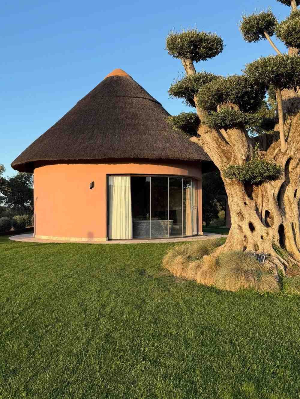 Edificio redondo de color coral, con techo de paja, puertas de vidrio y un árbol nudoso sobre césped verde.