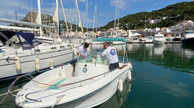 Un hombre está limpiando un barco en un puerto deportivo.