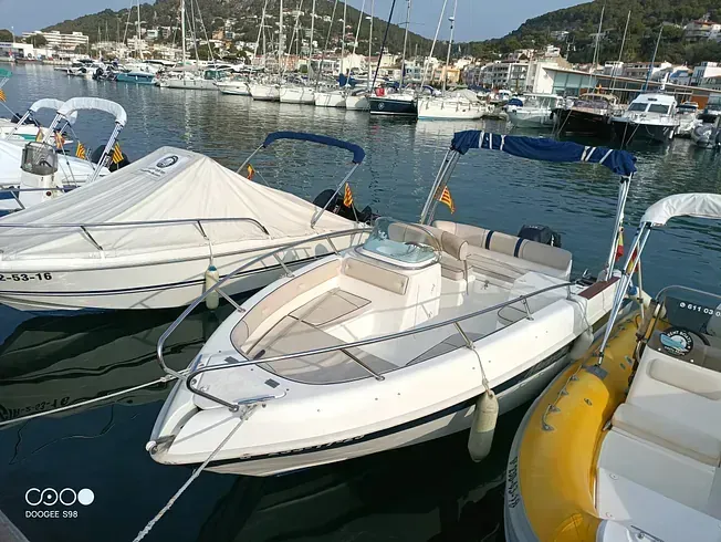 Un grupo de barcos están atracados en un puerto.