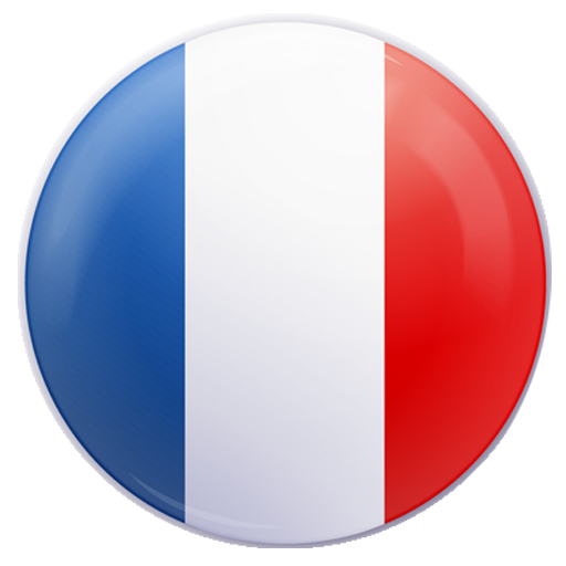 Un botón con la bandera de Francia.