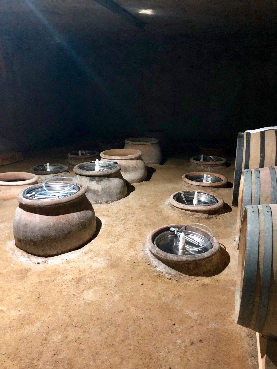 Bodega con grandes vasijas de barro qvevri enterradas en el suelo, con tapas de metal y barriles de madera cerca.