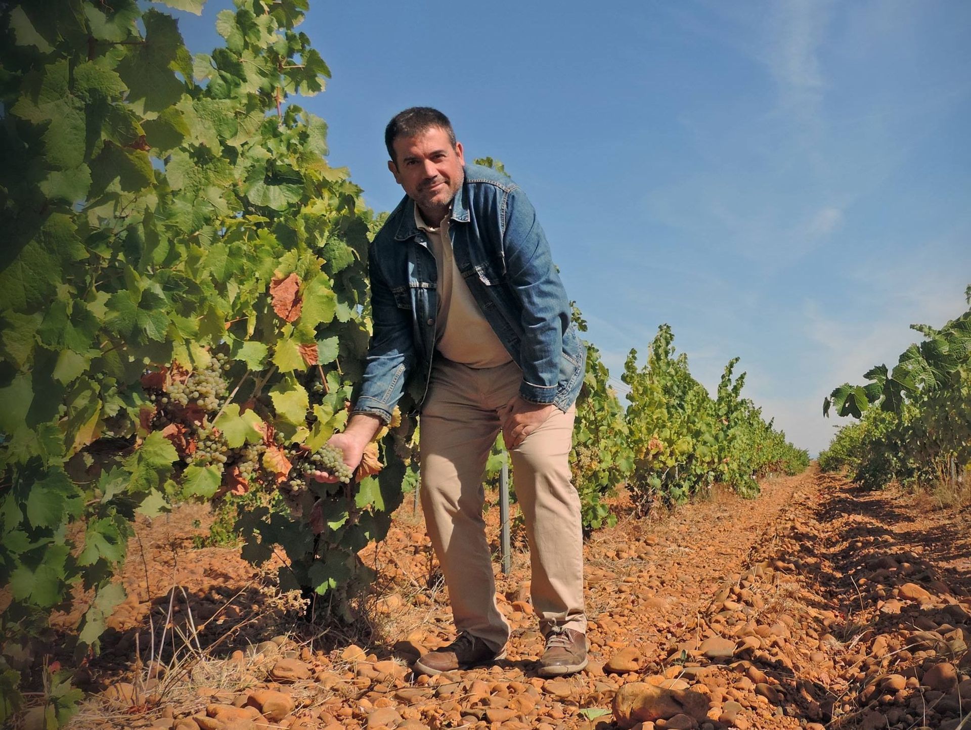Un hombre con una chaqueta vaquera está parado en un viñedo.