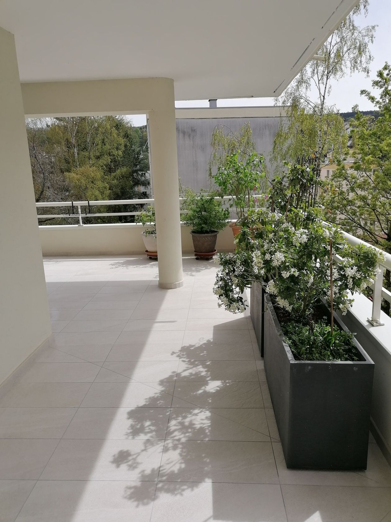 Balcon avec sol carrelé clair, arbres et plantes en pot. La lumière vive du soleil projette des ombres.