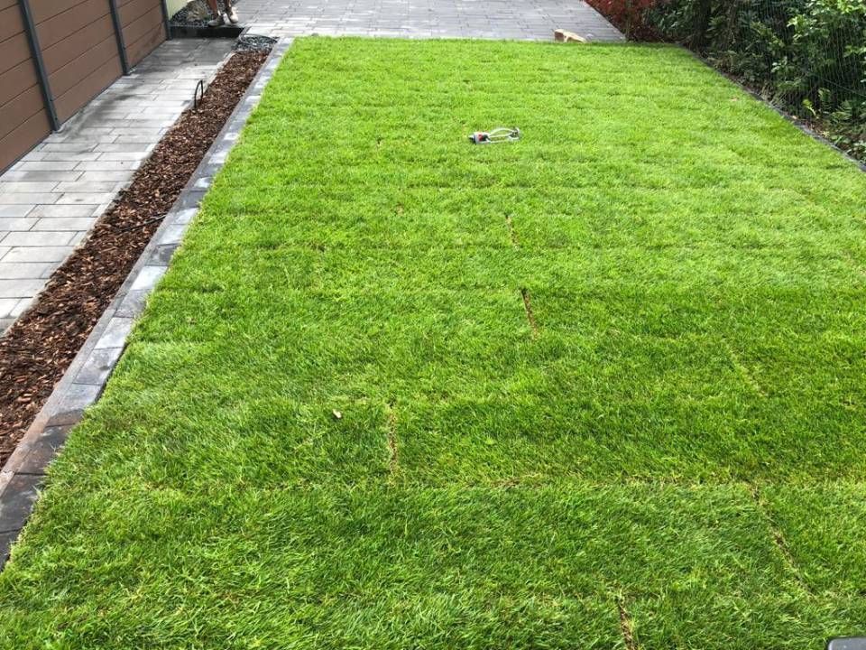 Ein üppiger grüner Rasen mit einem Ziegelweg und einem Zaun im Hintergrund.